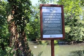 panneau d'information sur le nourrissage des canards et des cygnes