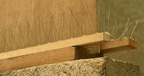 Les pics, moyens répulsifs contre les pigeons